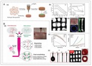 用于组织工程与再生医学的3D生物打印水凝胶—进展与挑战