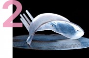 Cairn Surgical乳腺癌3D定位系统获ISO认证，助力精准保乳手术应用