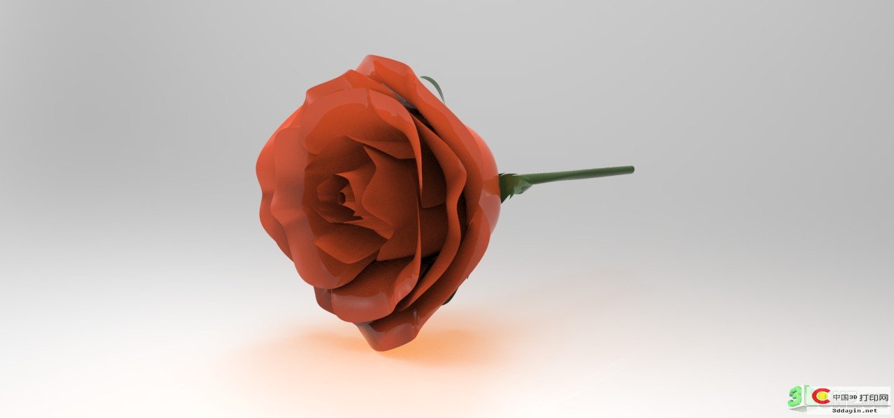 rose - 3D - Rózsa.jpg