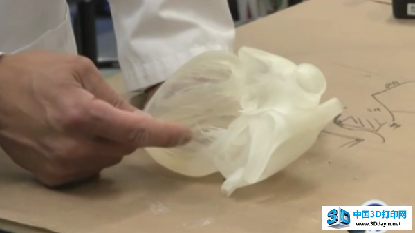 斯坦福大学研究人员用3D打印制作器官模型