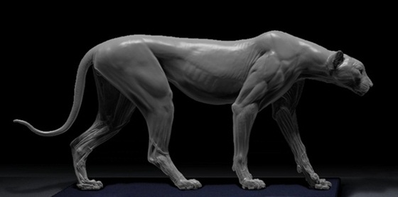 艺术家3D打印超精细大型猫科动物解剖模型