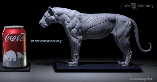 艺术家3D打印超精细大型猫科动物解剖模型