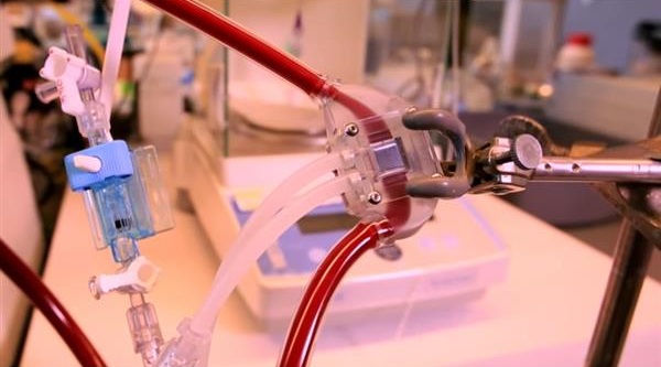 科学家使用3D打印技术开发人工肾脏