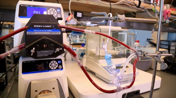 科学家使用3D打印技术开发人工肾脏
