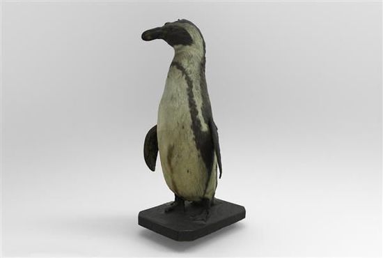 3Dӡ;ǶԱΣֵʶ