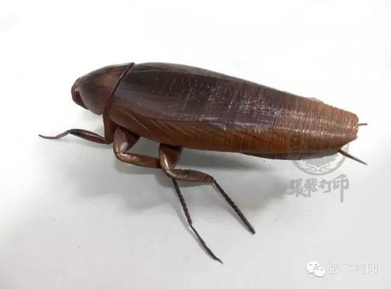 ĪĿ־ 3Dӡ޵оްСǿ