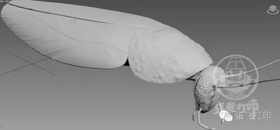 ĪĿ־ 3Dӡ޵оްСǿ