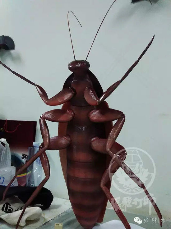 ĪĿ־ 3Dӡ޵оްСǿ