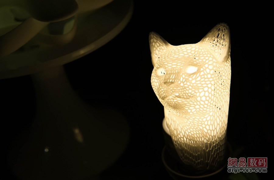 3Dӡĵ
