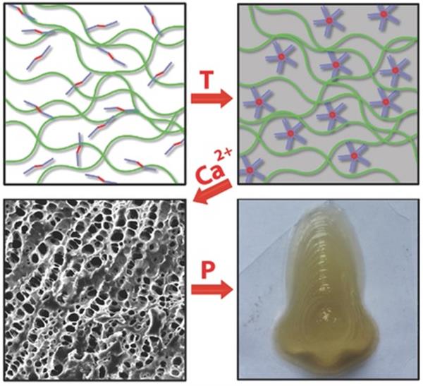 bristol-scientists-develop-new-stem-cell-bio-ink-for-3d-printed-cartilage-and-bone-implants-2