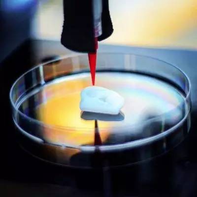 bio-3d printing_3