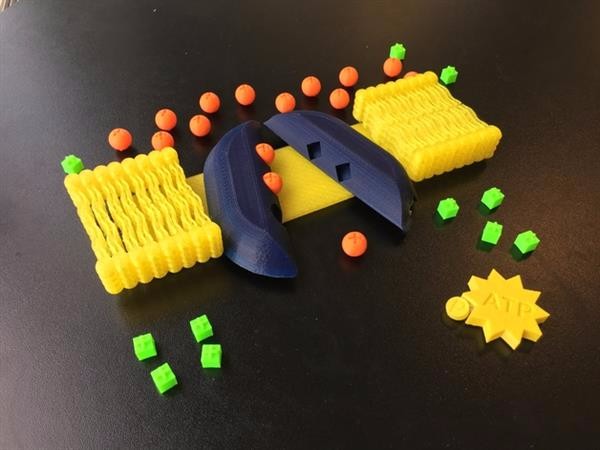 15С MakerBot 3Dӡγ̳Ʒ