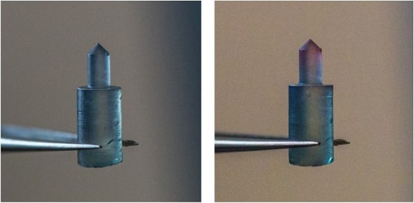 科学家研发“可程控”丝纤蛋白原料3D打印结构体制法