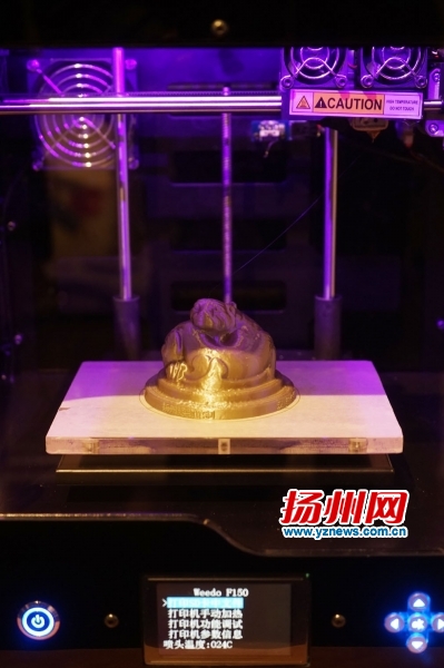 3Dӡ̽ͭ