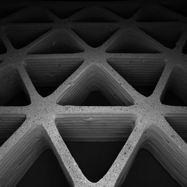 麻省理工和哈佛携手创造出具有可调孔隙度的3D打印材料