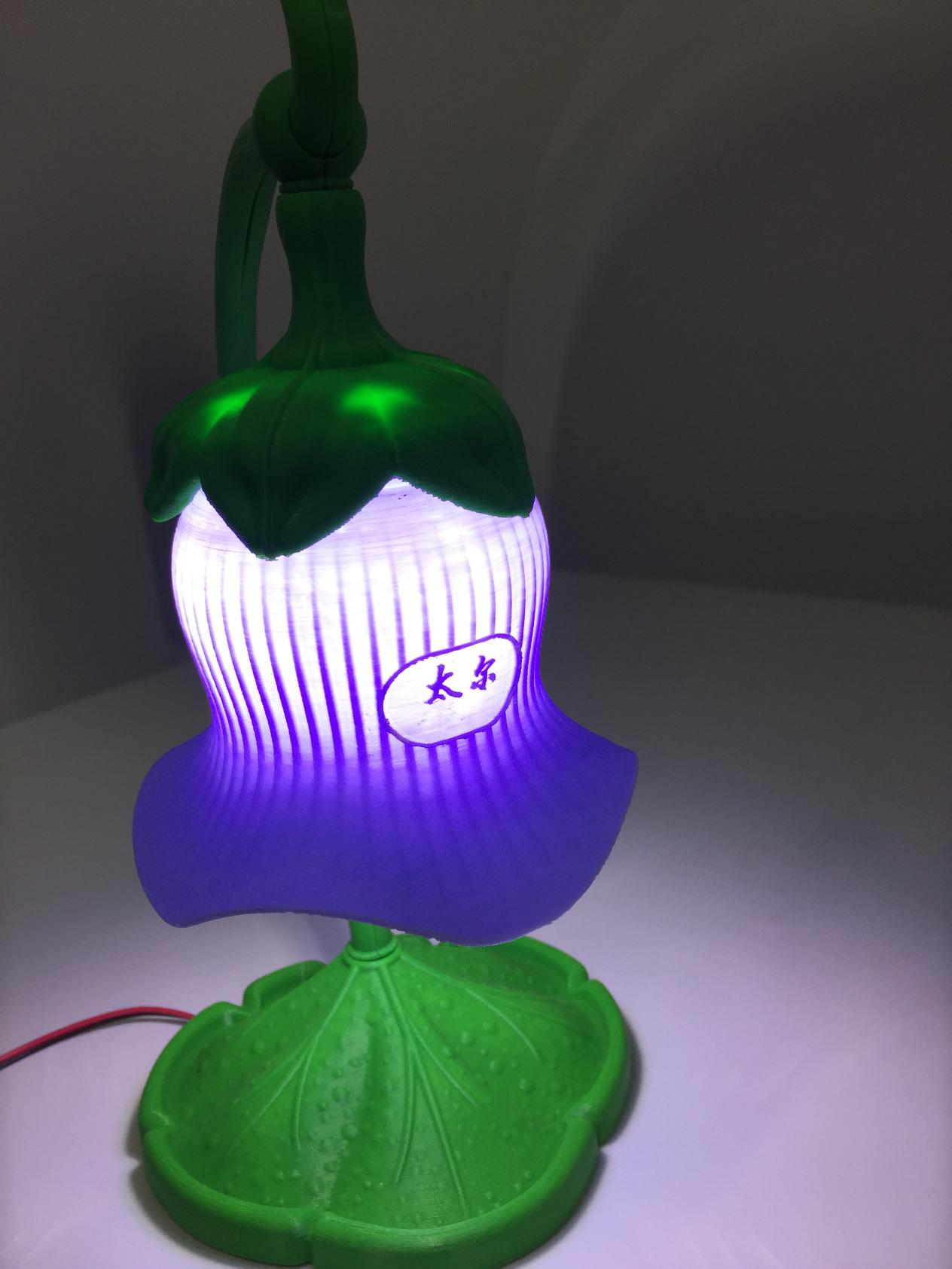 太尔时代3D打印创意台灯