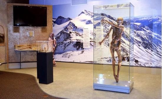 3D��ӡ����