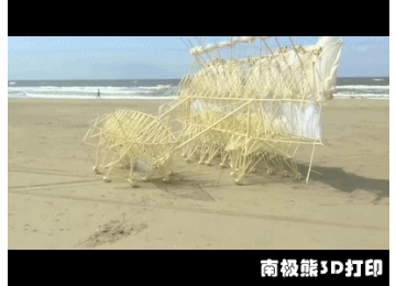 5.gif