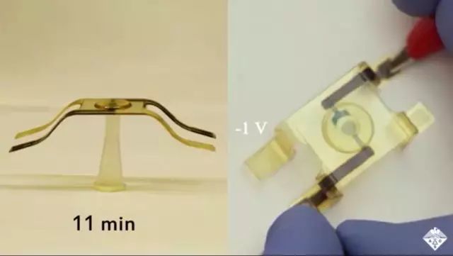 点击打开原图 3D打印的”自折叠“电子器件:可应用于机器人!
