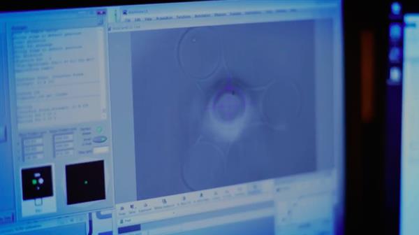 ORNL的科学家3D打印出世界上最小的飞毛腿,头发丝宽 ORNL的科学家3D打印出世界上最小的飞毛腿,头发丝宽
