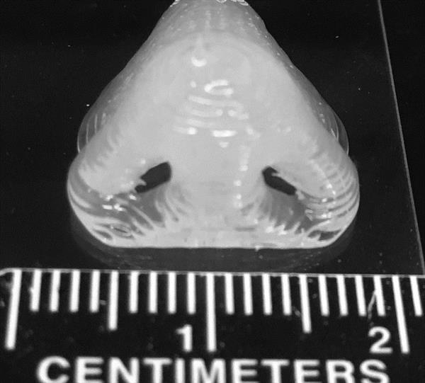 PDMSǿ3Dӡϸճ