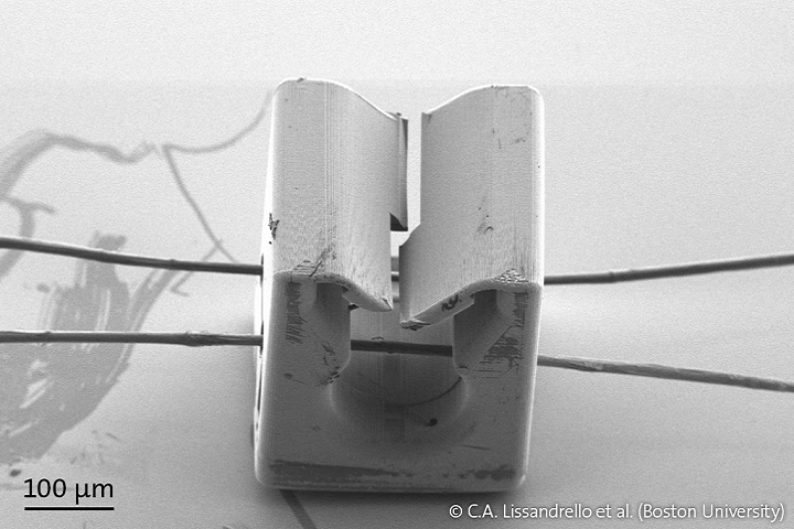 NanoscribePhotonic Professional GT 3Dӡɴӡ΢