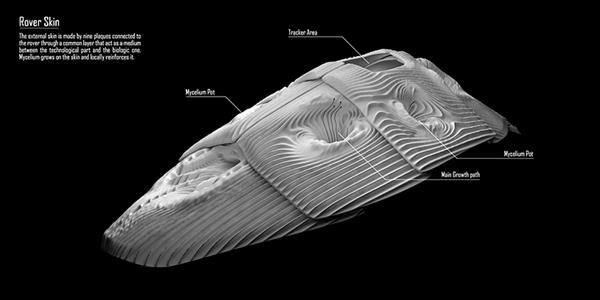 Noumena探索人工智能和机器人通过3D打印发展和生存