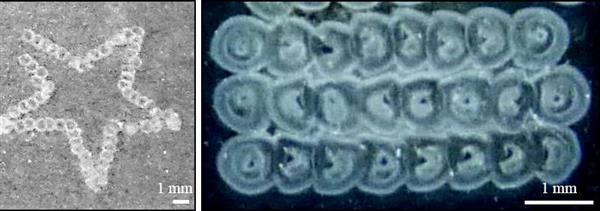伦敦玛丽皇后科学家利用模拟人体的墨水研究3D打印细胞结构 伦敦玛丽皇后科学家利用模拟人体的墨水研究3D打印细胞结构