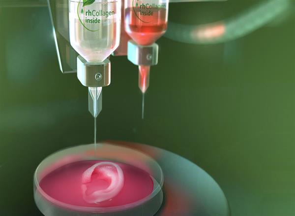 CollPlant加入生物打印联盟ReMDO,为3D打印器官开发bioink CollPlant加入生物打印联盟ReMDO,为3D打印器官开发bioink