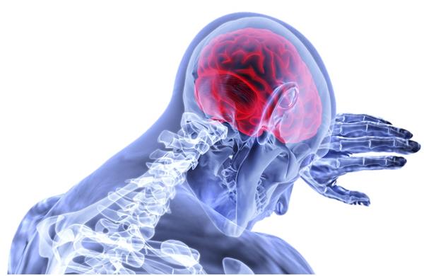 曼彻斯特科学家生物3D打印脑结构治疗神经退行性疾病 曼彻斯特科学家生物3D打印脑结构治疗神经退行性疾病