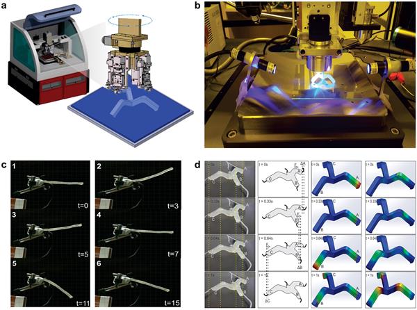 3D打印柔性机器人的未来取决于3DP,软光刻和“新创新” 3D打印柔性机器人的未来取决于3DP,软光刻和“新创新”