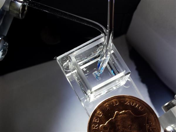 牛津大学生物3D打印分拆公司OxSyBio融资1400万美元 牛津大学生物3D打印分拆公司OxSyBio融资1400万美元