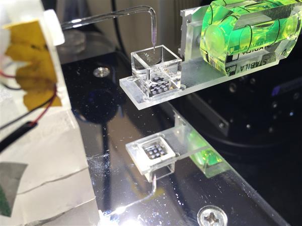 牛津大学生物3D打印分拆公司OxSyBio融资1400万美元 牛津大学生物3D打印分拆公司OxSyBio融资1400万美元