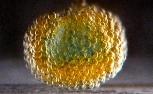 牛津大学生物3D打印分拆公司OxSyBio融资1400万美元 牛津大学生物3D打印分拆公司OxSyBio融资1400万美元