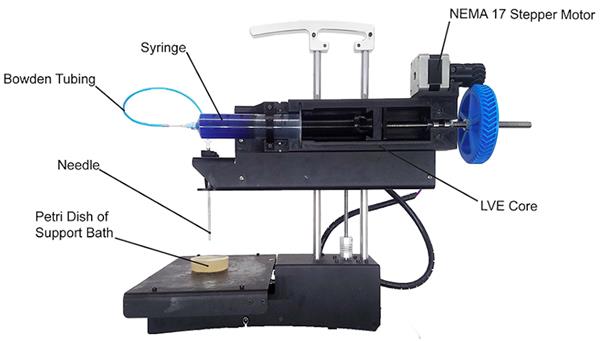 ڻ÷¡ѧоԱͳɱԴDIY <a href='https://www.3ddayin.net/3ddayinji/shengwu3Ddayinji/' target='_blank'><u>3Dӡ</u></a>