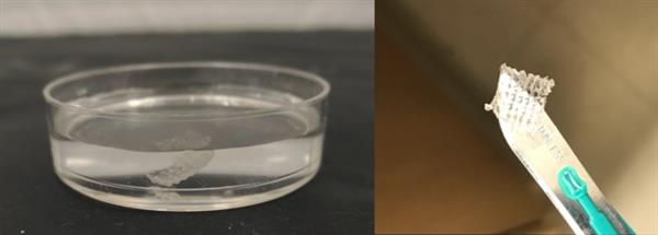 富含血小板的生物墨水可以促进3D打印植入物和皮肤移植物的愈合 富含血小板的生物墨水可以促进3D打印植入物和皮肤移植物的愈合