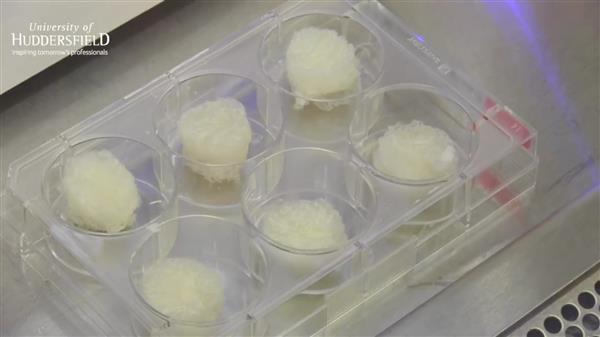 流体凝胶在软组织的生物3D打印方面有了新突破 流体凝胶在软组织的生物3D打印方面有了新突破