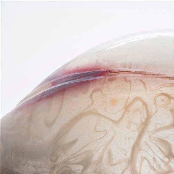 Neri Oxman3DӡVesperߣ̽
