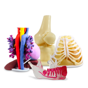 3D Systems为3D打印解剖模型提供全新的点播服务 3D Systems为3D打印解剖模型提供全新的点播服务