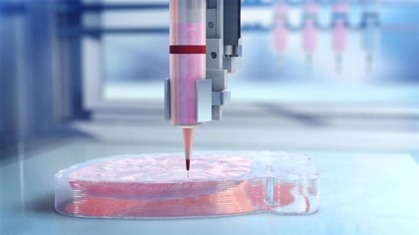 BIOLIFE4D公司宣布成功生物3D打印人类心脏组织 BIOLIFE4D公司宣布成功生物3D打印人类心脏组织