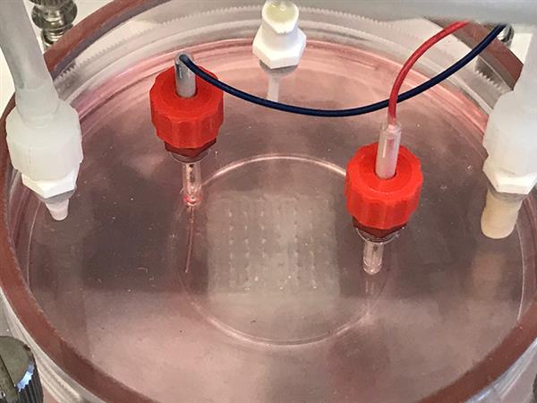 BIOLIFE4D公司宣布成功生物3D打印人类心脏组织 BIOLIFE4D公司宣布成功生物3D打印人类心脏组织