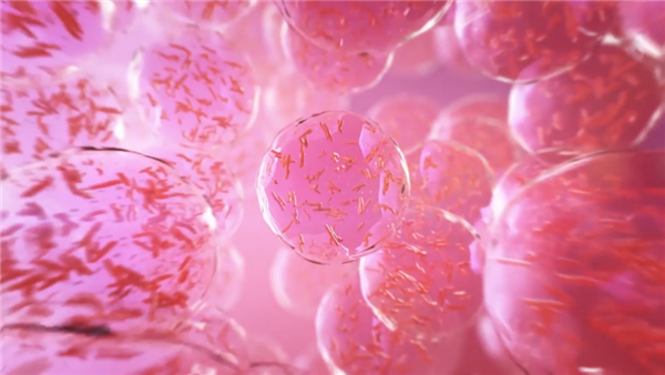 BIOLIFE4D公司宣布成功生物3D打印人类心脏组织 BIOLIFE4D公司宣布成功生物3D打印人类心脏组织
