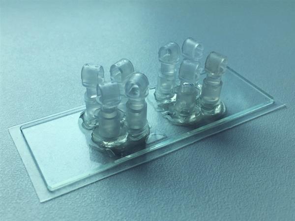科学家3D打印芯片胎盘,研究从母亲到孩子的营养转运 科学家3D打印芯片胎盘,研究从母亲到孩子的营养转运
