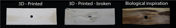 苏黎世理工使用FDM 3D打印机和液晶聚合物打印轻质结构方法