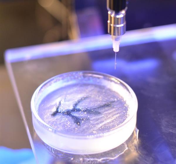 欧洲航天局领导为宇航员开发3D打印皮肤、骨骼和器官 欧洲航天局领导为宇航员开发3D打印皮肤、骨骼和器官