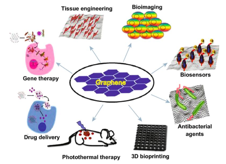 印度：科学家探索石墨烯在3D打印和生物医学应用中的奇迹和毒性