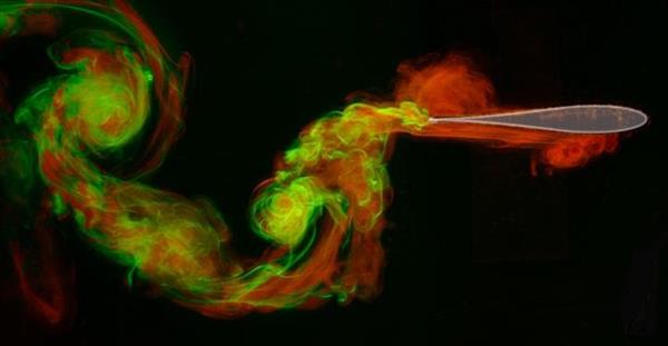 纽约大学数学家使用3D打印设计飞行更快的机翼 纽约大学数学家使用3D打印设计飞行更快的机翼