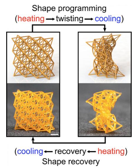 軟硬可變、形狀可變的4D打印超材料