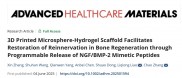 3D打印微球- 凝胶支架通过可编程释放 NGF/BMP-2 模拟肽促进骨再生中的神经再支