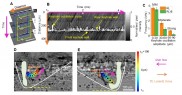 Science顶刊：原位激光金属3D打印机，助力同步辐射技术研究匙孔取得突破